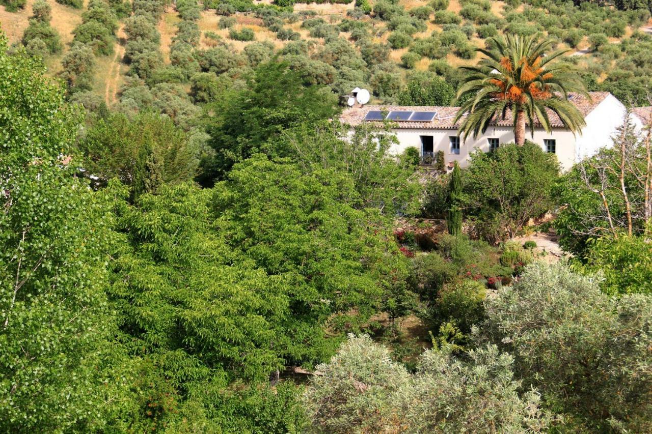 Beautiful Country House Near Ronda Arriate Eksteriør billede